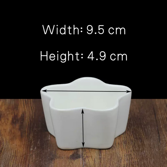 Star Mini White Flower Pot - Starborn Seed